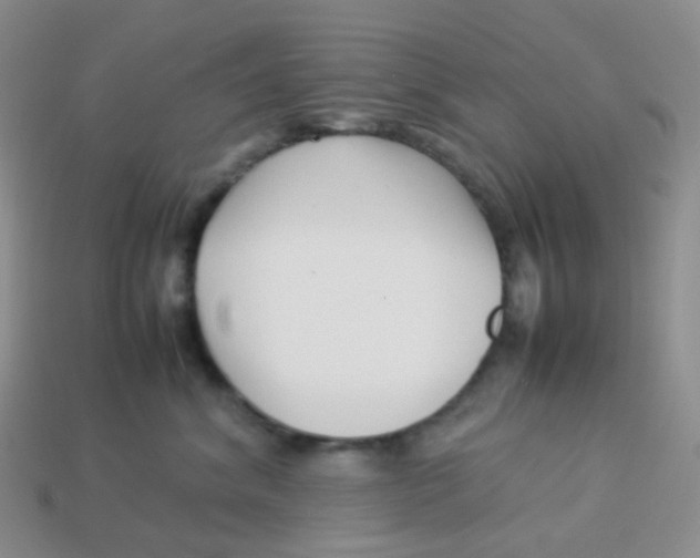 X0000113370620200910131322
