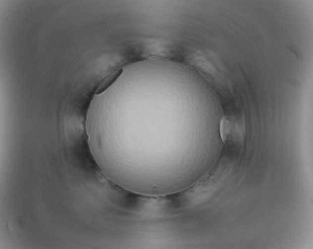 X0000113370621200910131322
