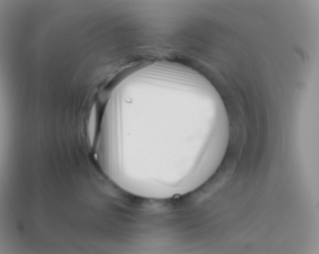 X0000113370624200910131322