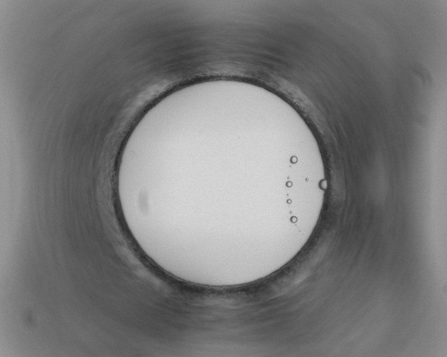 X0000113370625200910131321