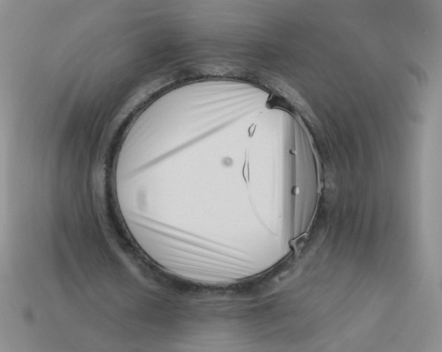 X0000113370626200910131321