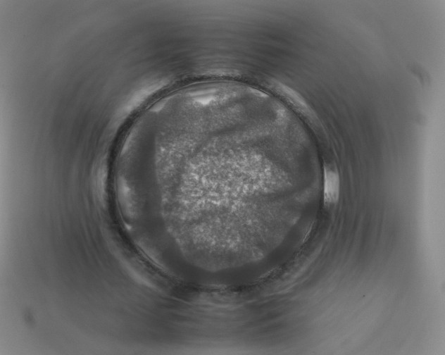 X0000113370627200910131321