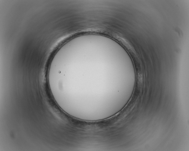 X0000113370628200910131321