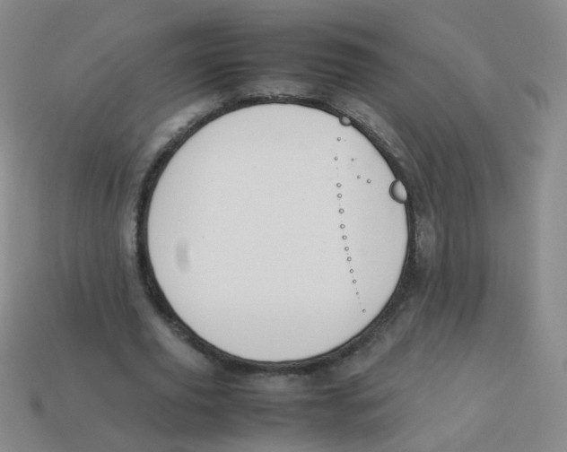 X0000113370629200910131321