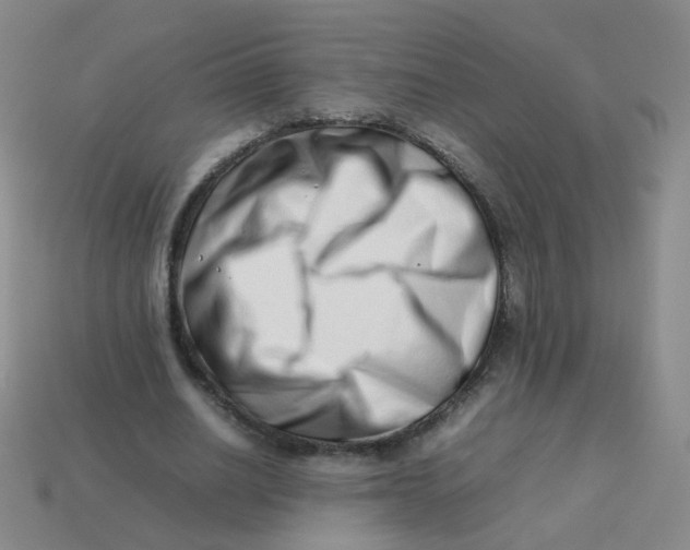 X0000113370630200910131321