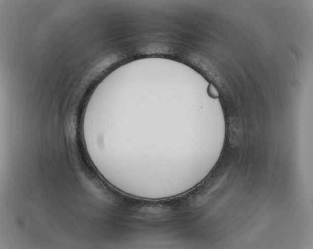 X0000113370631200910131321