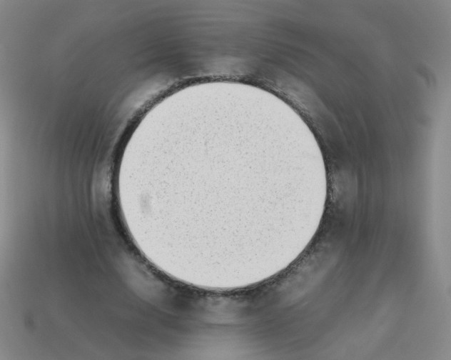 X0000113370632200910131321