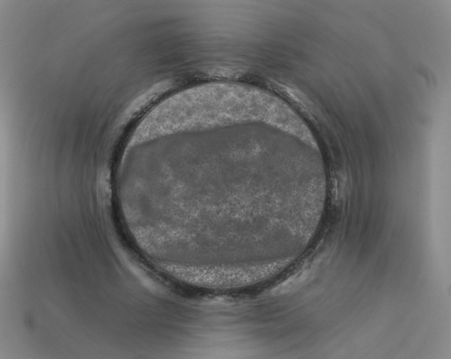 X0000113370634200910131321