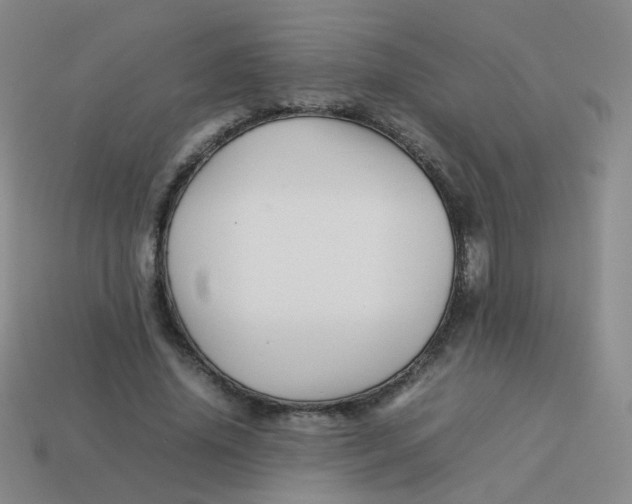 X0000113370636200910131321