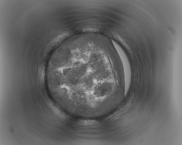 X0000113370637200910131322