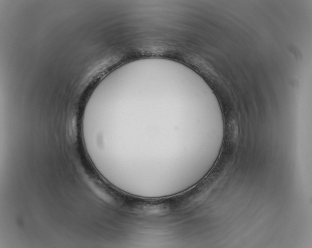 X0000113370638200910131322