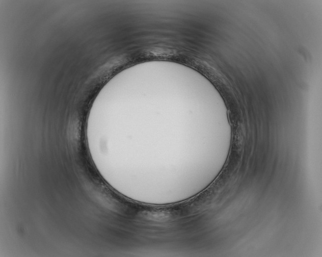 X0000113370639200910131322