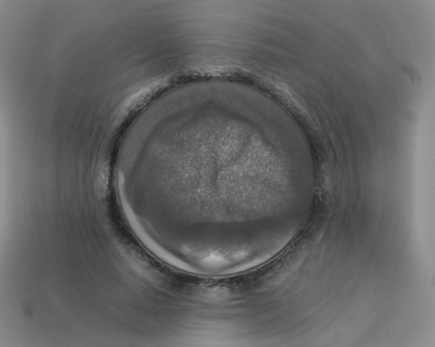 X0000113370640200910131322