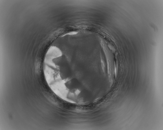 X0000113370641200910131322