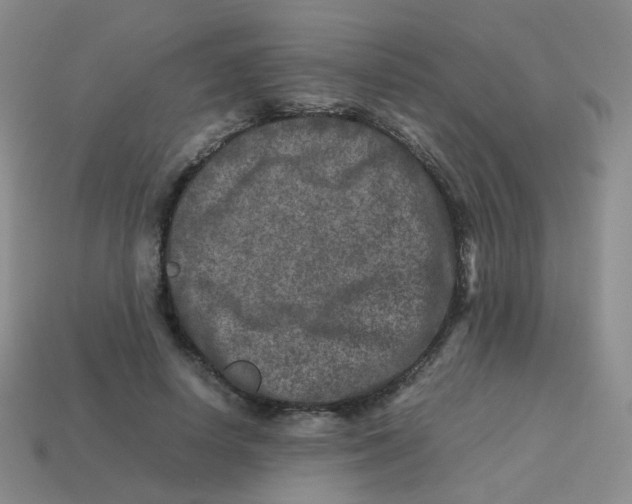 X0000113370642200910131322