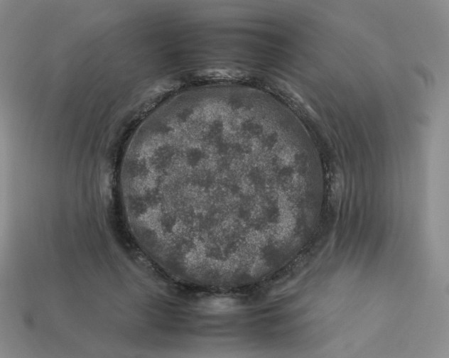 X0000113370643200910131322