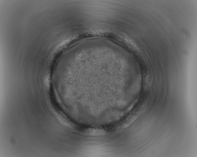 X0000113370644200910131322