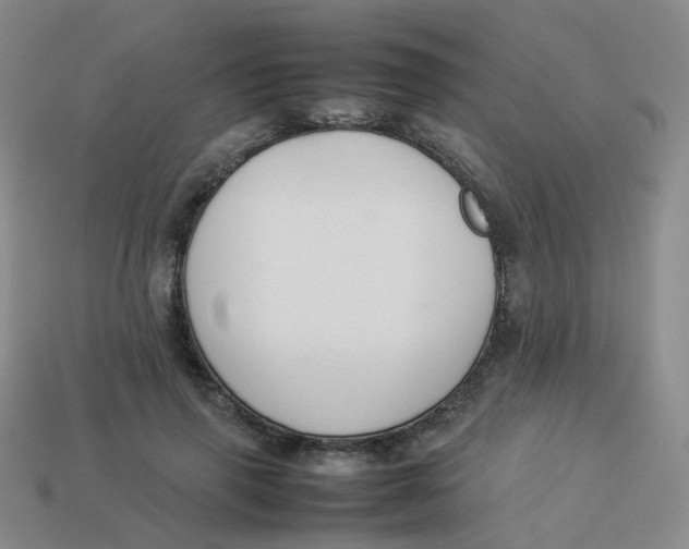 X0000113370645200910131322