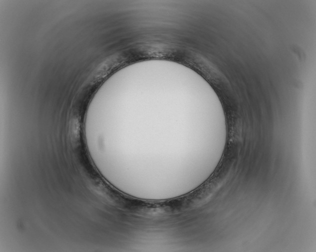 X0000113370646200910131322