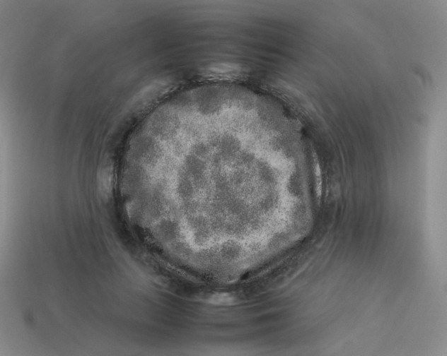 X0000113370647200910131322