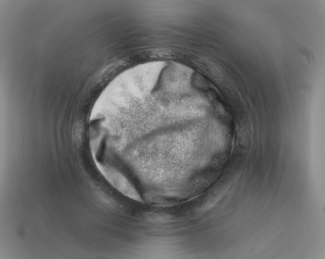 X0000113370648200910131322