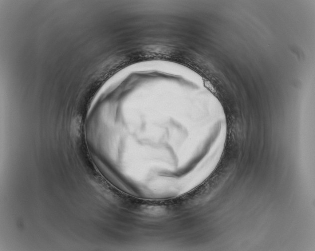 X0000113370649200910131322
