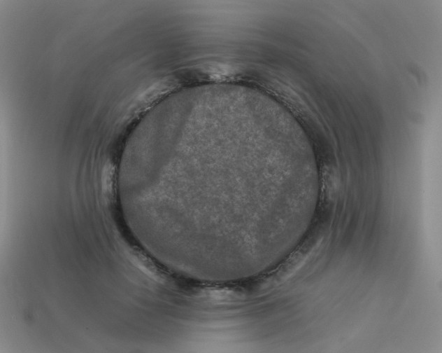 X0000113370650200910131322