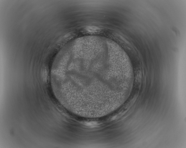 X0000113370651200910131322
