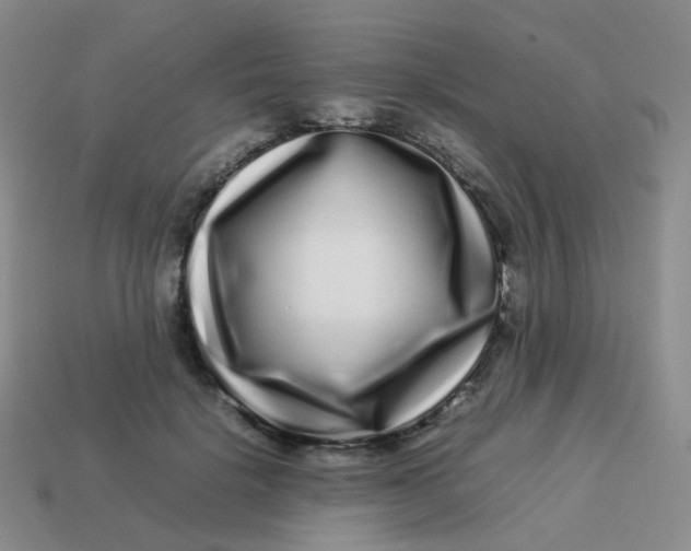 X0000113370652200910131322
