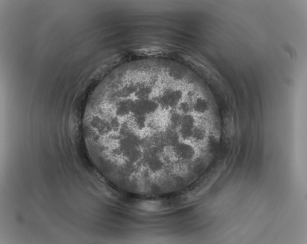 X0000113370653200910131322