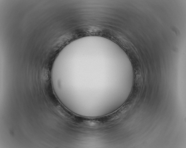 X0000113370654200910131322