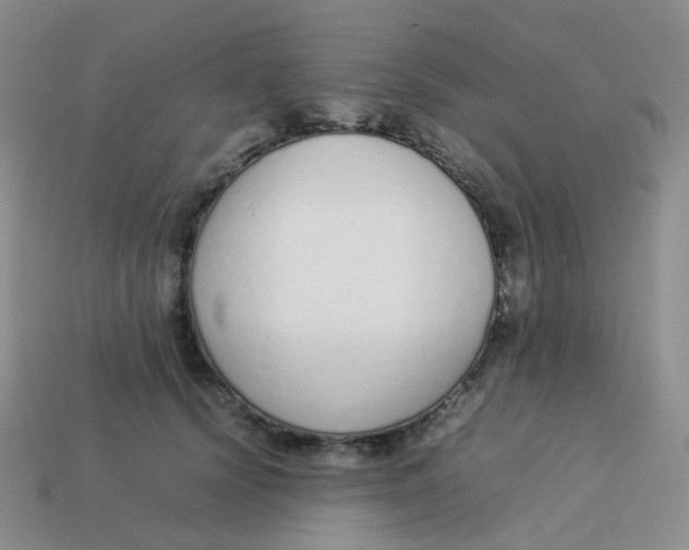X0000113370656200910131322