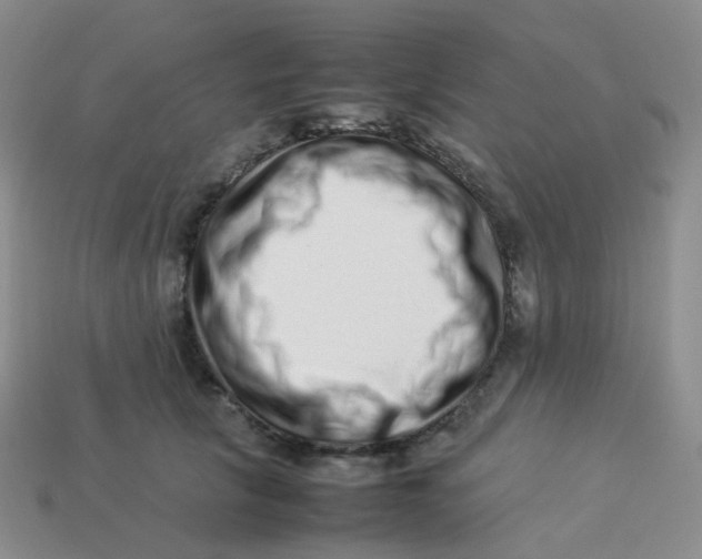 X0000113370657200910131322