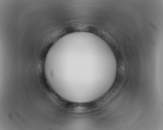 X0000113370658200910131322