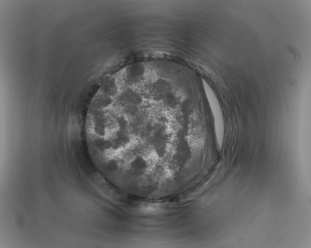 X0000113370661200910131322