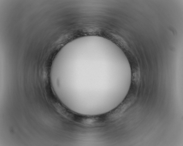 X0000113370662200910131322
