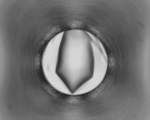 X0000113370664200910131322