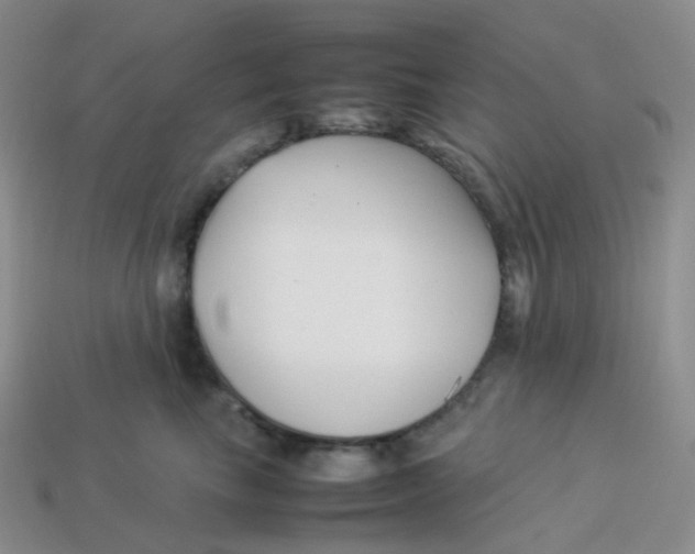 X0000113370665200910131322