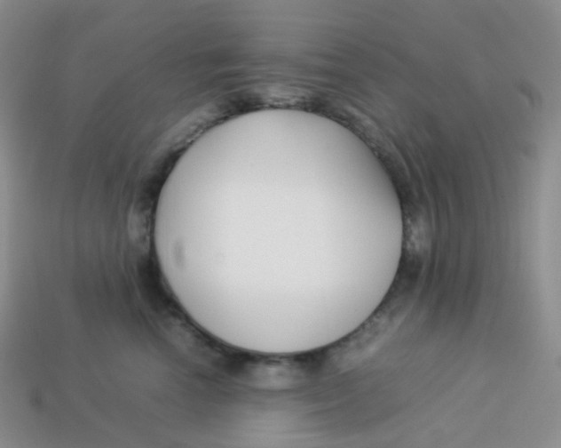 X0000113370666200910131322