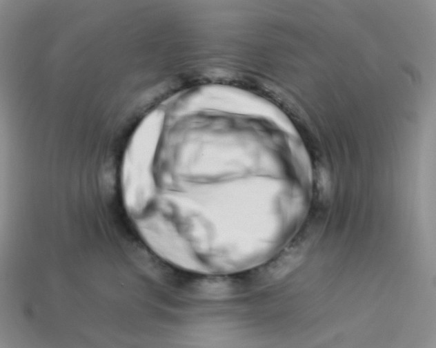 X0000113370668200910131322