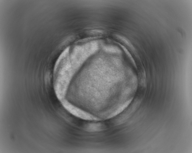 X0000113370669200910131322