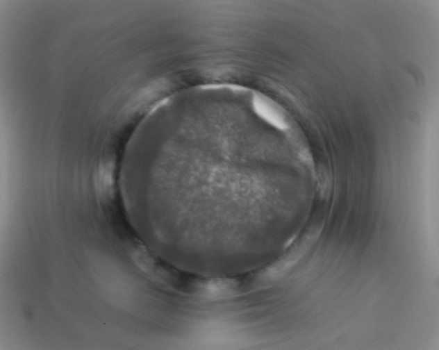 X0000113370670200910131322