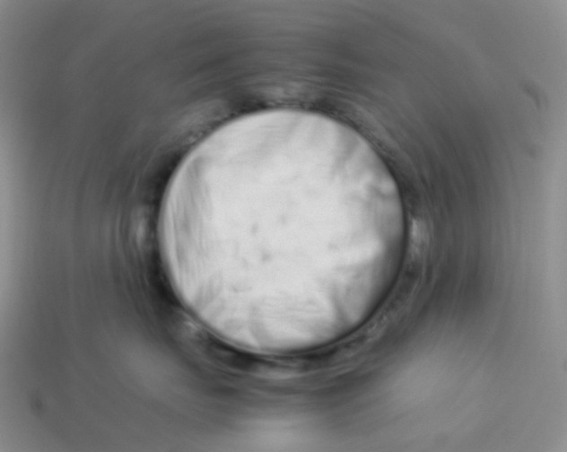 X0000113370671200910131322