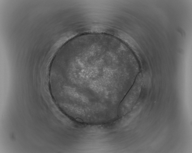 X0000113370673200910131321