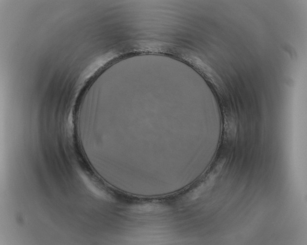 X0000113370674200910131321