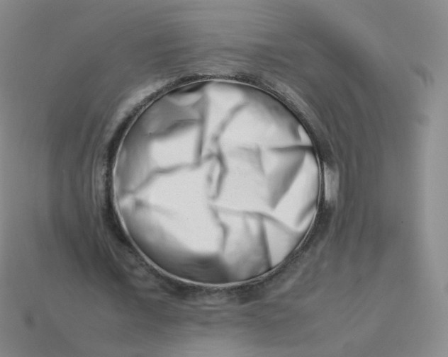 X0000113370675200910131321
