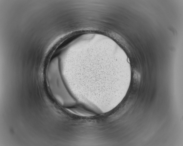 X0000113370676200910131321
