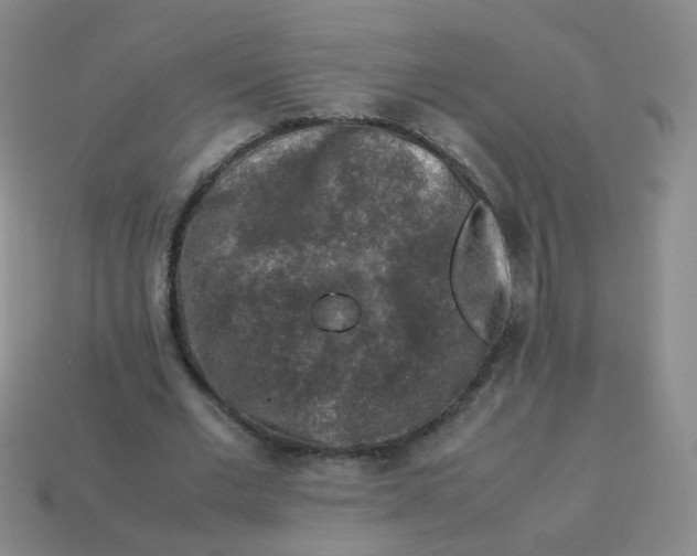 X0000113370677200910131321