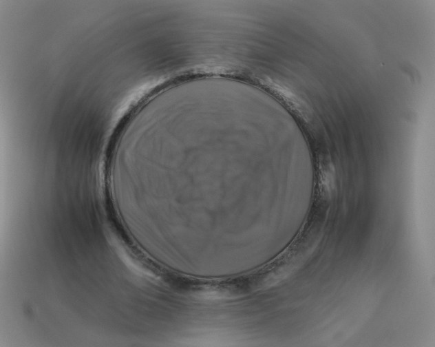 X0000113370678200910131321