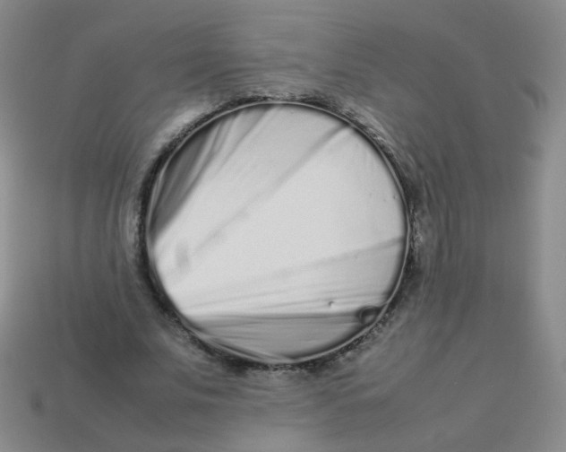 X0000113370679200910131321